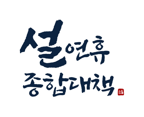 설 연휴 종합대책